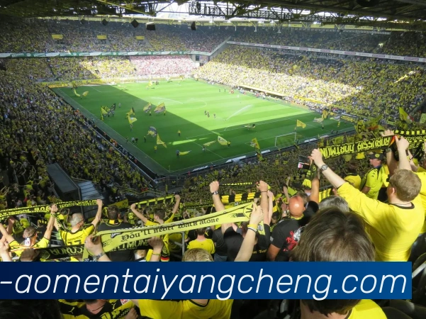 App Interface Preview